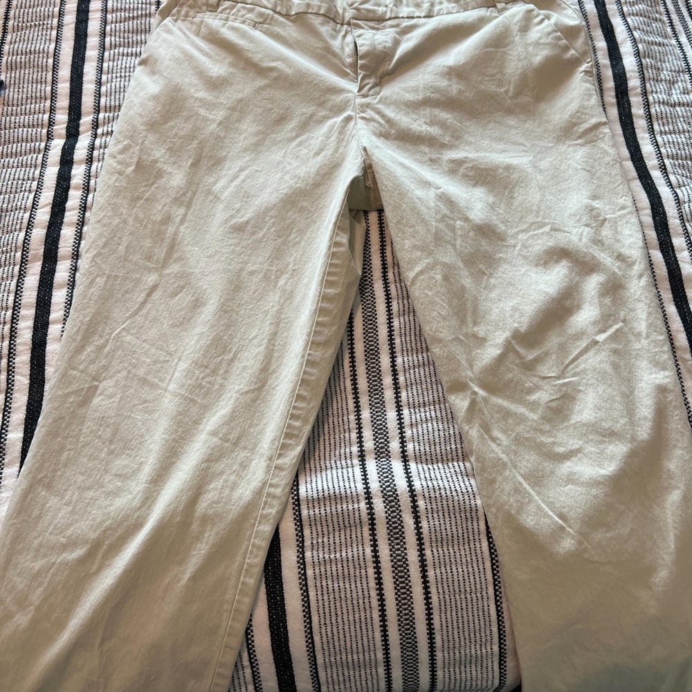 Patagonia lightweight pants size 14